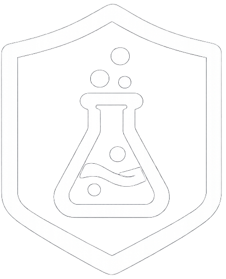 icon 13